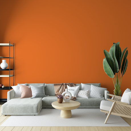 Vopsea Lavabila, Spiced Tangerine, CM-D6.58.58