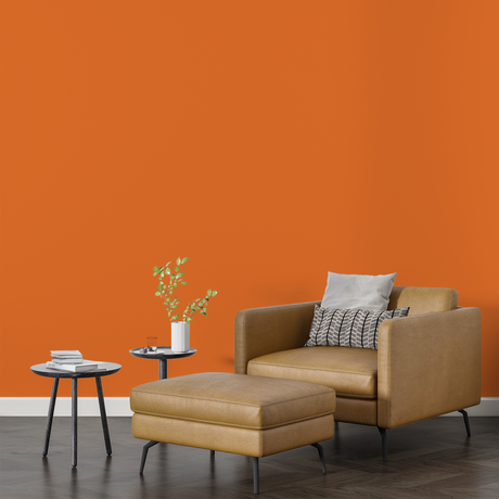 Vopsea Lavabila, Spiced Tangerine, CM-D6.58.58