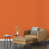 Vopsea Lavabila, Amber Blaze, CM-D6.66.53