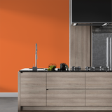 Vopsea Lavabila, Amber Blaze, CM-D6.66.53