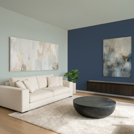 Set Vopsele Colorate Midnight Horizon & Misty Birch
