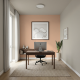 Set Vopsele Colorate Peach Cloud & Egyptian Cotton