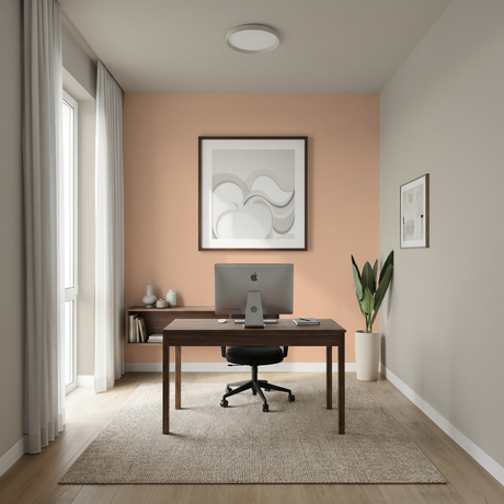 Set Vopsele Colorate Peach Cloud & Egyptian Cotton