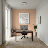 Set Vopsele Colorate Peach Cloud & Ivory Mist