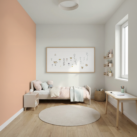 Set Vopsele Colorate Peach Cloud & Ivory Mist