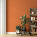 Vopsea Lavabila, Peach Ember, CM-D8.51.60