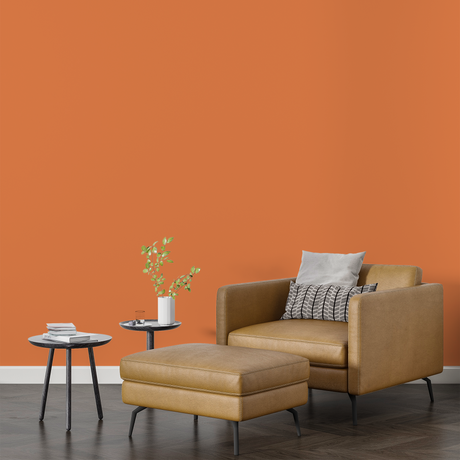 Vopsea Lavabila, Peach Ember, CM-D8.51.60