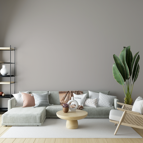 Vopsea Lavabila, Mist Taupe, CM-DN.01.71