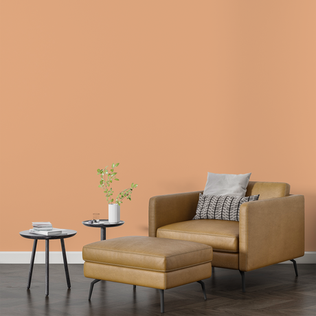 Vopsea Lavabila, Crystal Breeze, CM-E0.25.75