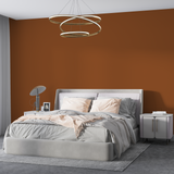 Vopsea Lavabila, Rust Flame, CM-E0.45.30