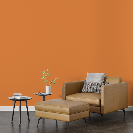 Vopsea Lavabila, Tangerine Dream, CM-E0.50.60