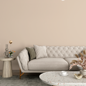 Vopsea Lavabila, Vintage Cream, CM-E4.07.77