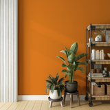 Vopsea Lavabila, Tangerine Glow, CM-E4.60.60