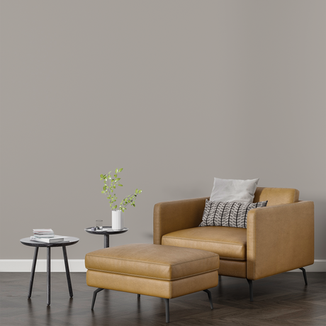 Vopsea Lavabila, Bone Linen, CM-E6.03.67