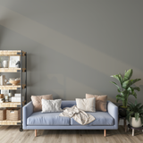 Vopsea Lavabila, Taupe Smoke, CM-E8.03.60