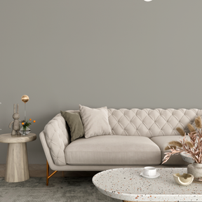 Vopsea Lavabila, Taupe Smoke, CM-E8.03.60