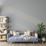 Vopsea Lavabila, Soft Nickel, CM-EN.02.71