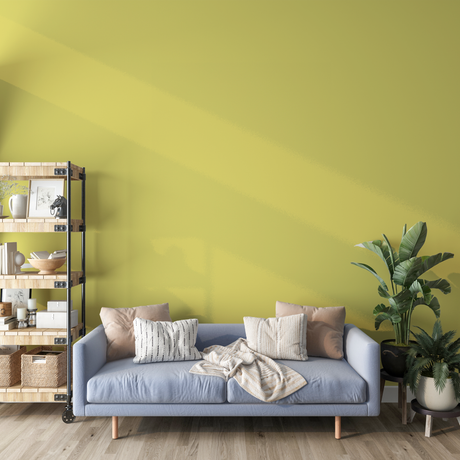 Vopsea Lavabila, Butter Glow, CM-F2.40.80