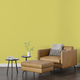 Vopsea Lavabila, Butter Glow, CM-F2.40.80