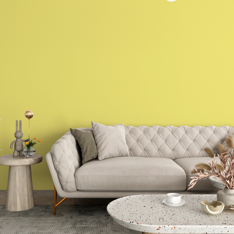 Vopsea Lavabila, Butter Glow, CM-F2.40.80