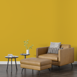 Vopsea Lavabila, Amber Harvest, CM-F2.60.60