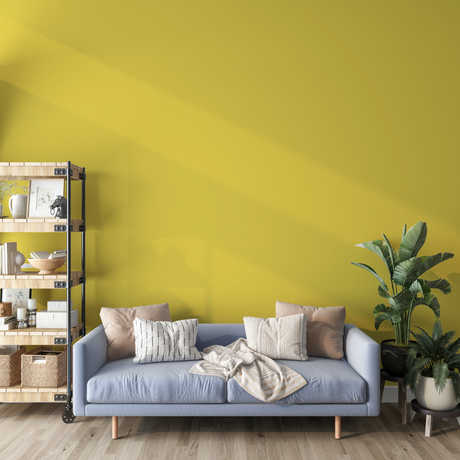 Vopsea Lavabila, Sunlit Honey, CM-F2.60.70