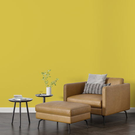 Vopsea Lavabila, Sunlit Honey, CM-F2.60.70