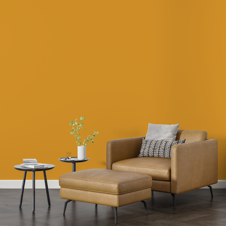 Vopsea Lavabila, Apricot Spark, CM-F2.67.63