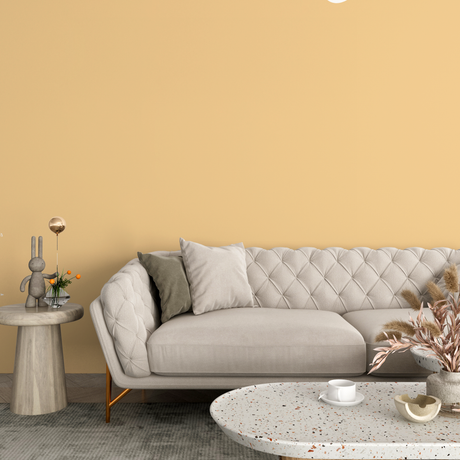 Vopsea Lavabila, Honey Oat, CM-F3.25.77