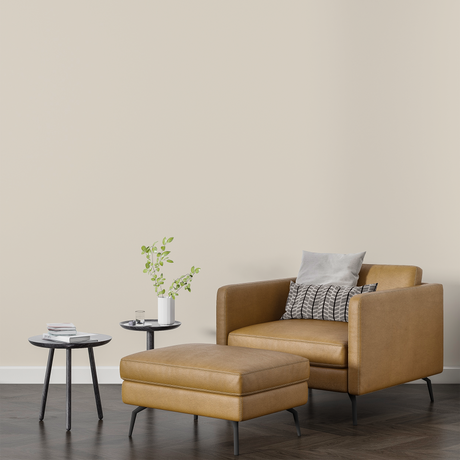 Vopsea Lavabila, Cream Dust, CM-F6.04.86