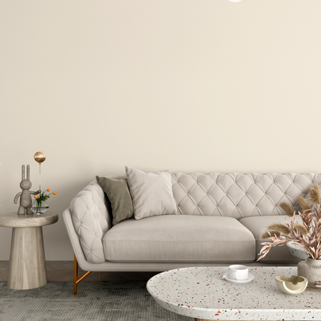 Vopsea Lavabila, Cream Dust, CM-F6.04.86