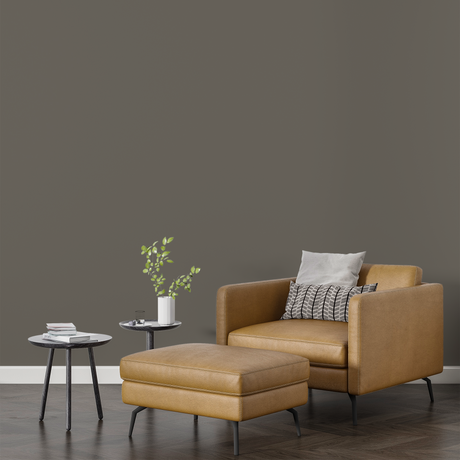 Vopsea Lavabila, Stone Taupe, CM-F6.05.40