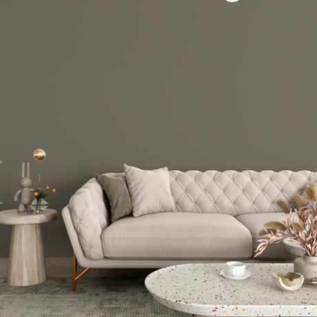 Vopsea Lavabila, Stone Taupe, CM-F6.05.40