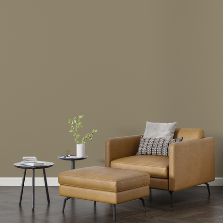 Vopsea Lavabila, Rose Ash, CM-F6.15.55