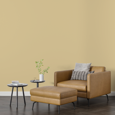 Vopsea Lavabila, Wheat Glow, CM-F6.20.83