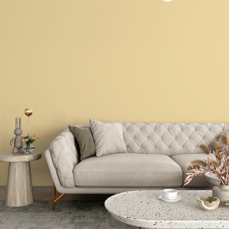 Vopsea Lavabila, Wheat Glow, CM-F6.20.83