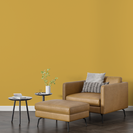 Vopsea Lavabila, True Joy, CM-F6.48.68