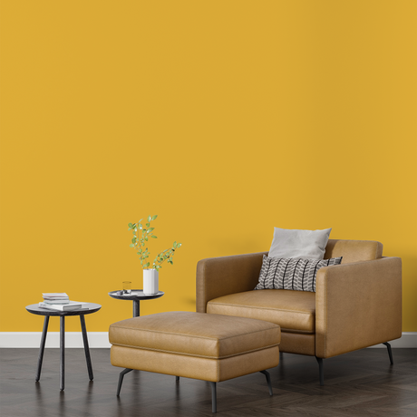 Vopsea Lavabila, Solar Honey, CM-F6.60.70