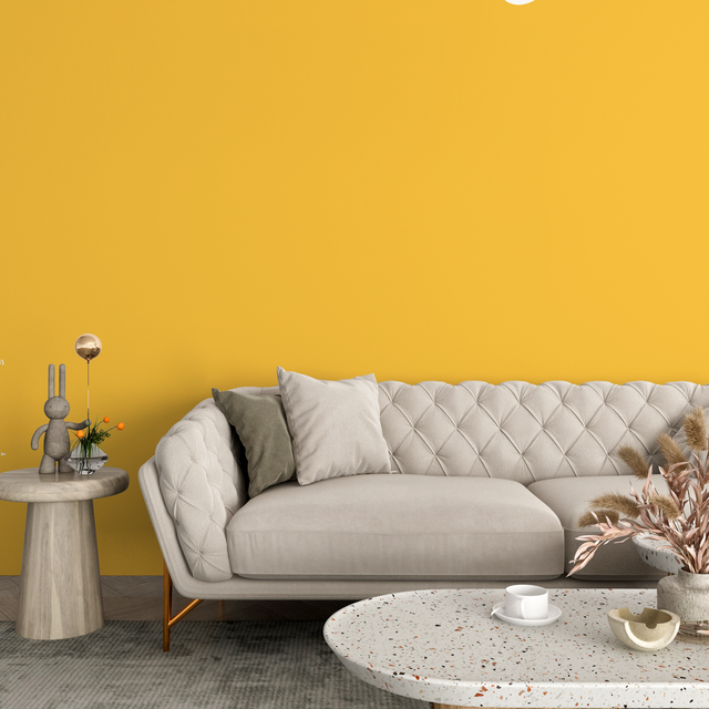 Vopsea Lavabila, Solar Honey, CM-F6.60.70