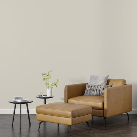 Vopsea Lavabila, Sandy Pearl, CM-F8.03.85