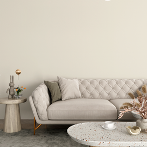 Vopsea Lavabila, Sandy Pearl, CM-F8.03.85