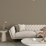 Vopsea Lavabila, Stone Biscuit, CM-F8.16.48