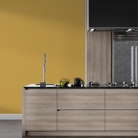 Vopsea Lavabila, Desert Honey, CM-F6.35.68