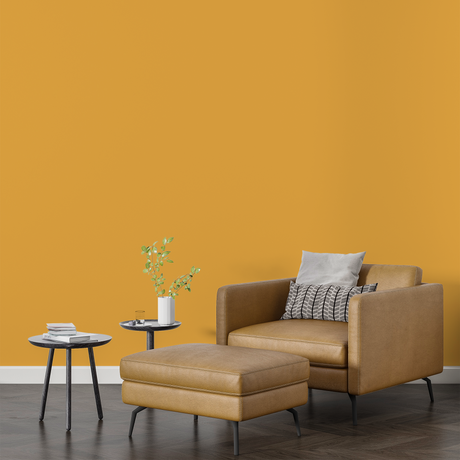 Vopsea Lavabila, Golden Apricot, CM-F8.50.70