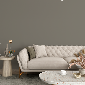 Vopsea Lavabila, Smoky Taupe, CM-G0.05.45