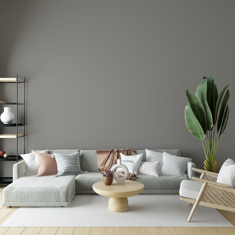 Vopsea Lavabila, Dune Smoke, CM-G0.05.55