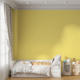 Vopsea Lavabila, Solar Butter, CM-G4.34.84