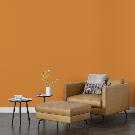 Vopsea Lavabila, Apricot Ember, CM-G4.40.60