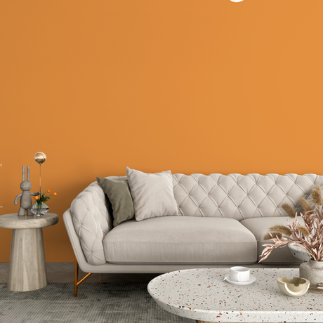 Vopsea Lavabila, Apricot Ember, CM-G4.40.60