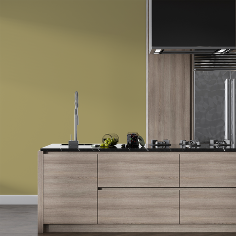 Vopsea Lavabila, Olive Mist, CM-G5.28.60